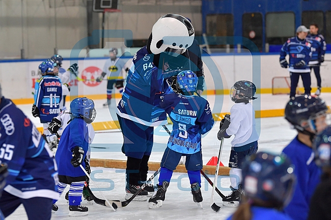 Eishockey, Herren, DEL, Saison 2021-2022, ERC Ingolstadt - Kids on Eis Day, 06.11.2021