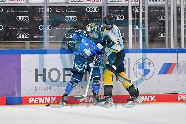 Eishockey, Frauen, DFEL, Saison 2023-2024, ERC Ingolstadt - Mad Dogs Mannheim, 18.02.2024