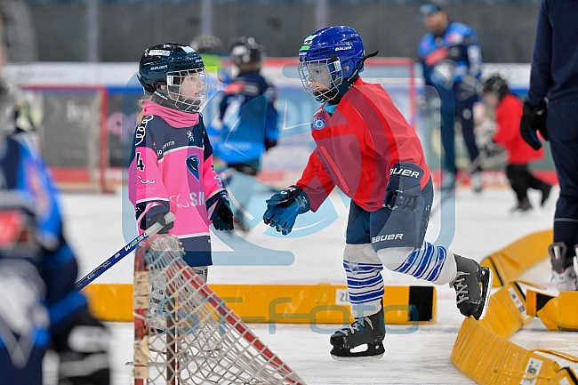 Eishockey, Saison 2025-2026, ERC Ingolstadt - Kids On Ice Day, 10.01.2026