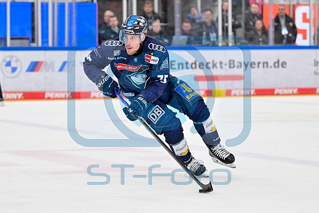 Eishockey, Herren, DEL, Saison 2024-2025, Playoffs Halbfinale, Spiel 5, ERC Ingolstadt - Kölner Haie, 11.04.2025
