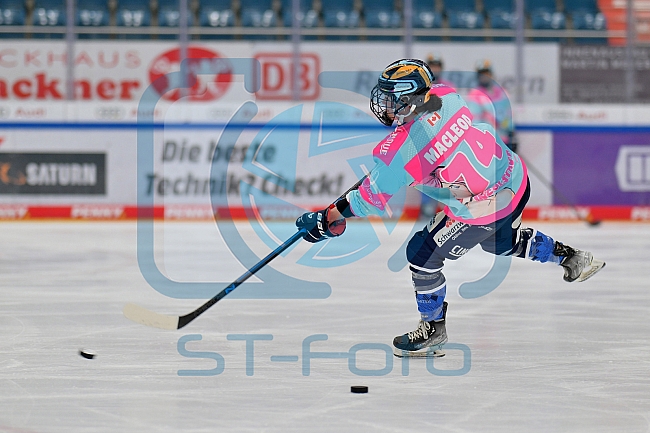 Eishockey, Frauen, DFEL, Saison 2023-2024, ERC Ingolstadt - Amsterdam Tigers, 06.01.2024