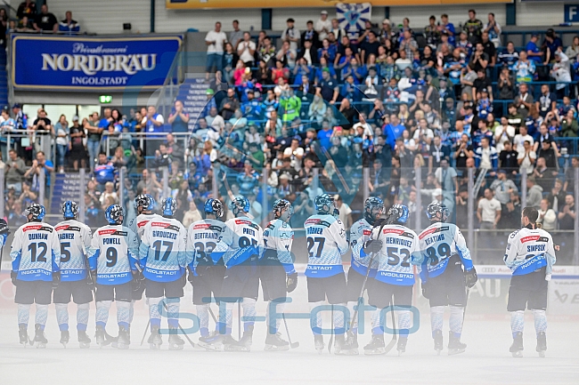 Eishockey, Herren, DEL, Saison 2024-2025, Vorbereitung, ERC Ingolstadt - Dresdner Eislöwen, 18.08.2024