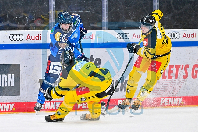 Eishockey, U20, DNL, Saison 2024-2025, ERC Ingolstadt - Krefelder EV 81, 01.03.2025