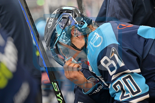 Eishockey, Herren, DEL, Saison 2022-2023, Playoff-Viertelfinale - Spiel 5, ERC Ingolstadt - Düsseldorfer EG, 24.03.2023
