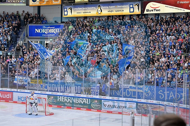 Eishockey, Herren, DEL, Saison 2022-2023, Playoff-Finale - Spiel 4, ERC Ingolstadt - EHC Red Bull München, 21.04.2023