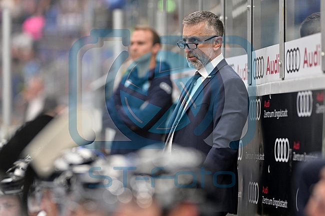 Eishockey, Herren, DEL, Saison 2024-2025, Vorbereitung, ERC Ingolstadt - Dresdner Eislöwen, 18.08.2024