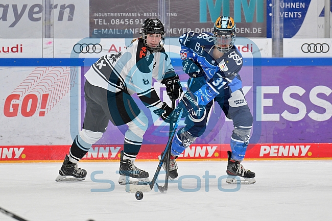 Eishockey, Frauen, DFEL, Saison 2023-2024, ERC Ingolstadt - Amsterdam Tigers, 06.01.2024
