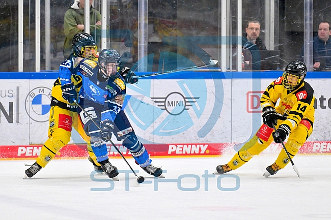 Eishockey, U20, DNL, Saison 2024-2025, ERC Ingolstadt - Krefelder EV 81, 01.03.2025