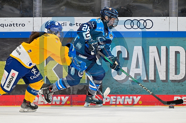 Eishockey, Frauen, DFEL, Saison 2025-2026, Testspiel, ERC Ingolstadt - HC Davos, 14.02.2026