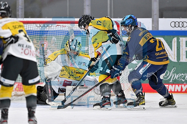 Eishockey, Frauen, DFEL, Saison 2022-2023, ERC Ingolstadt - Mad Dogs Mannheim, 19.11.2022