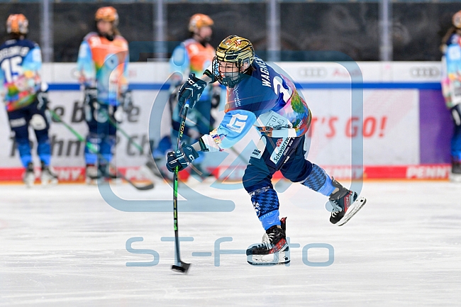 Eishockey, Frauen, DFEL, Saison 2024-2025, ERC Ingolstadt - ECDC Memmingen Indians, 16.11.2024