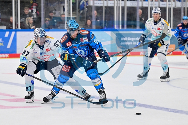 Eishockey, Herren, DEL, Saison 2025-2026, Spiel 23, ERC Ingolstadt - Dresdner Eislöwen, 28.11.2025