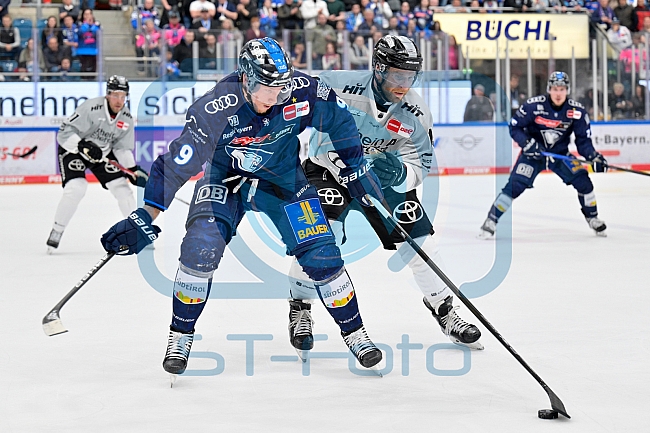 Eishockey, Herren, DEL, Saison 2024-2025, Playoffs Halbfinale, Spiel 5, ERC Ingolstadt - Kölner Haie, 11.04.2025