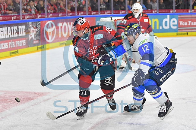 Koelner Haie vs ERC Ingolstadt, DEL, Deutsche Eishockey Liga, Playoffs, Viertelfinale, Spiel 7, 31.03.2019