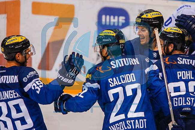 ERC Ingolstadt vs Schwenninger Wild Wings Eishockey, DEL, Deutsche Eishockey Liga, Spieltag 25, 04.12.2016