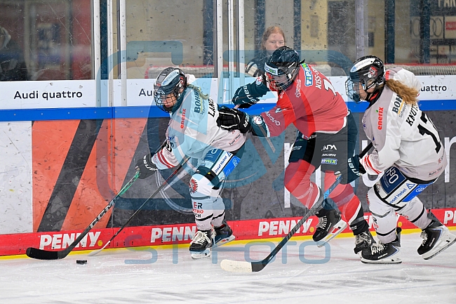 Eishockey, Frauen, EWHL Euro Cup, Saison 2025-2026, Finale, HK Budapest - ECDC Memmingen Indians, 19.10.2025