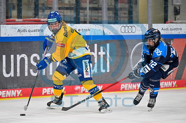 Eishockey, Frauen, DFEL, Saison 2025-2026, Testspiel, ERC Ingolstadt - HC Davos, 14.02.2026