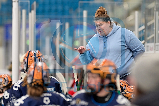Eishockey, Frauen, European Womens Hockey League, Saison 2024-2025, ERC Ingolstadt - Lakers Kärnten, 13.09.2024