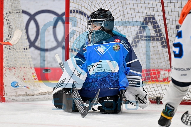 Eishockey, Saison 2025-2026, ERC Ingolstadt - Kids On Ice Day, 10.01.2026