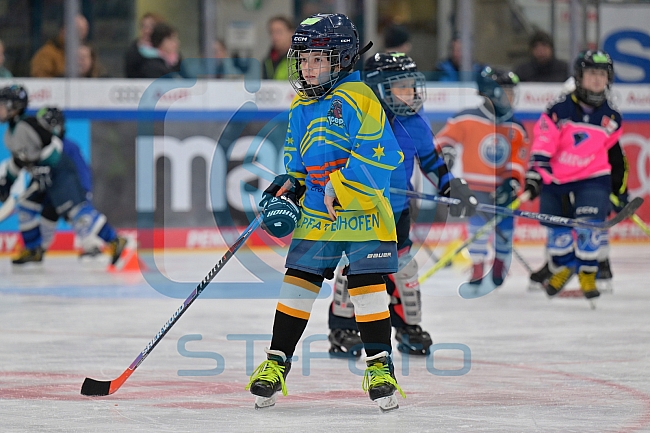 Eishockey, Herren, DEL, Saison 2023-2024, ERC Ingolstadt - Kids on Ice Day, 18.11.2023