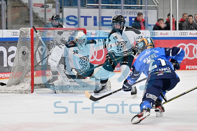 Eishockey, Frauen, DFEL, Saison 2023-2024, ERC Ingolstadt - Amsterdam Tigers, 06.01.2024
