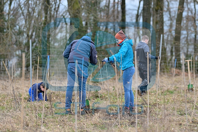 Eishockey, Herren, DEL, Saison 2023-2024, ERC Ingolstadt - Baumpflanzaktion, 02.03.2024