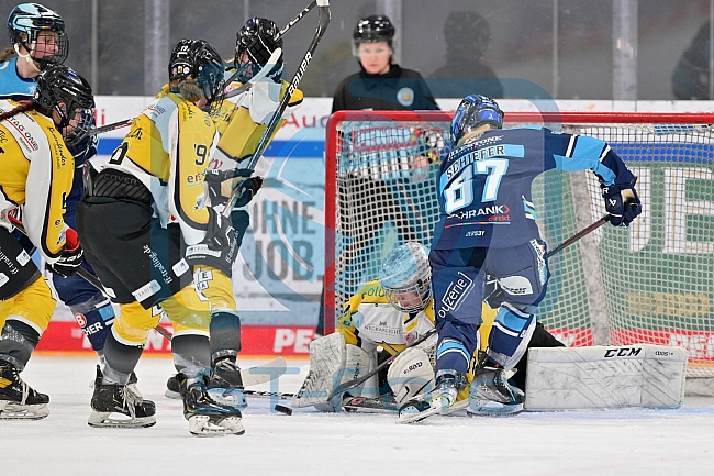 Eishockey, Frauen, DFEL, Halbfinale, Saison 2022-2023, ERC Ingolstadt - Mad Dogs Mannheim, 25.02.2023