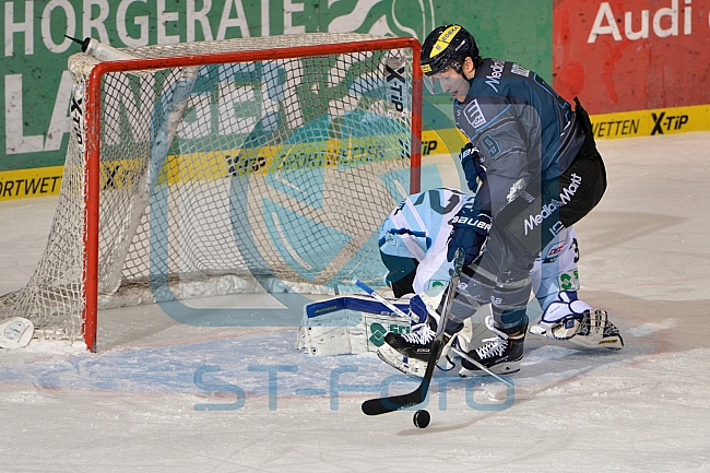 ERC Ingolstadt vs Schwenninger Wild Wings, Eishockey, DEL, Deutsche Eishockey Liga, 22.01.2016
