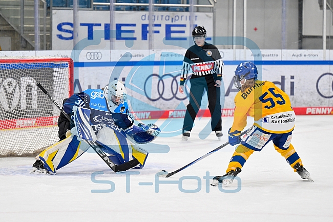 Eishockey, Frauen, DFEL, Saison 2025-2026, Testspiel, ERC Ingolstadt - HC Davos, 14.02.2026