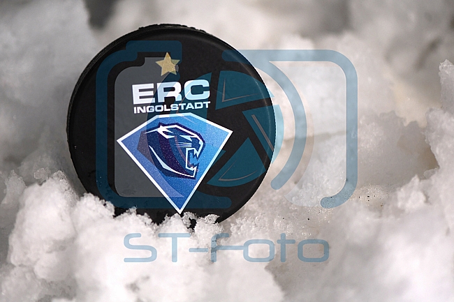 ERC Ingolstadt vs Adler Mannheim, Eishockey, DEL, Deutsche Eishockey Liga, Spieltag 46, 10.02.2017