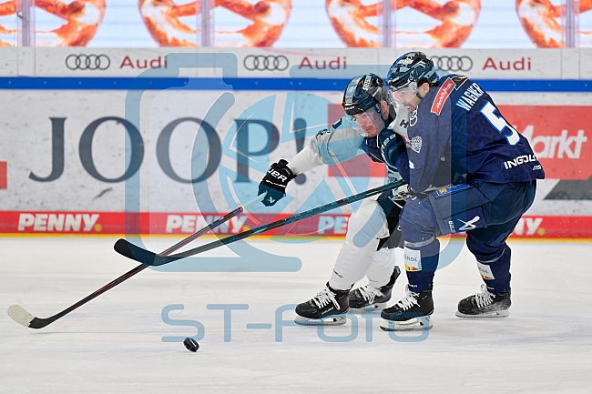 Eishockey, Herren, DEL, Saison 2024-2025, Playoffs Halbfinale, Spiel 5, ERC Ingolstadt - Kölner Haie, 11.04.2025