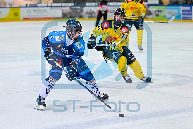 Eishockey, Herren, U20 DNL, Saison 2025-2026, Halbfinale - Spiel 2, ERC Ingolstadt - Krefelder EV 81, 15.03.2026