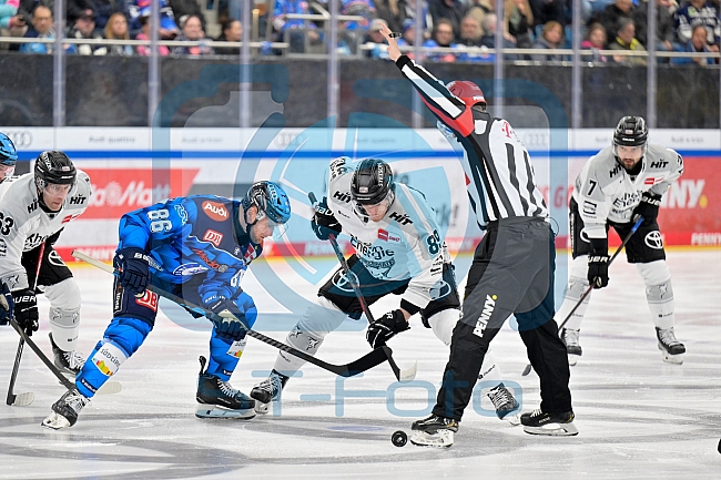 Eishockey, Herren, DEL, Saison 2025-2026, Spiel 16, ERC Ingolstadt - Kölner Haie, 31.10.2025