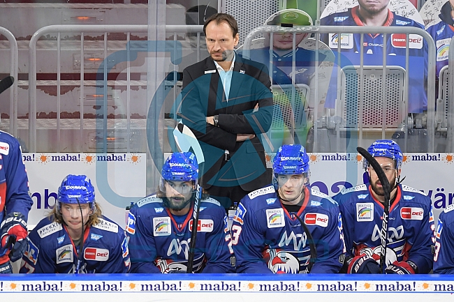 Eishockey, Herren, DEL, Saison 2020-2021, Adler Mannheim - ERC Ingolstadt, 15.02.2021