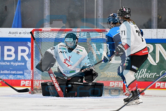 Eishockey, Frauen, DFEL, Saison 2025-2026, ERC Ingolstadt - HK Budapest, 15.11.2025
