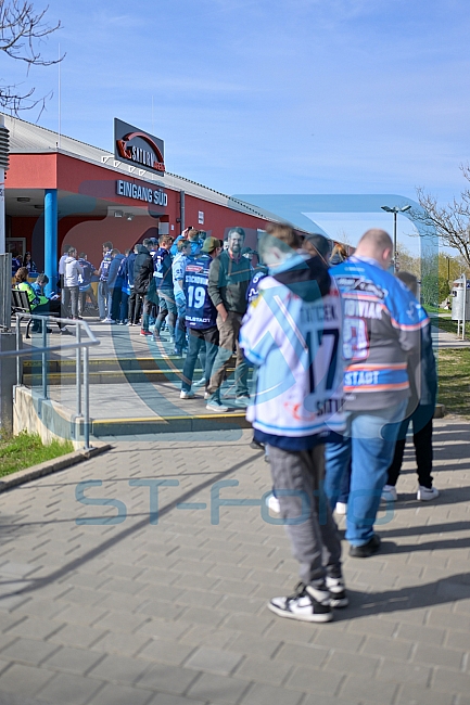 Eishockey, Herren, DEL, Saison 2024-2025, Playoffs Halbfinale, Spiel 5, ERC Ingolstadt - Kölner Haie, 11.04.2025