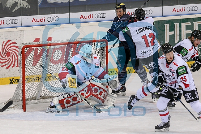 ERC Ingolstadt - Koelner Haie, Eishockey, DEL, Deutsche Eishockey Liga, Spieltag 16, 01.11.2015