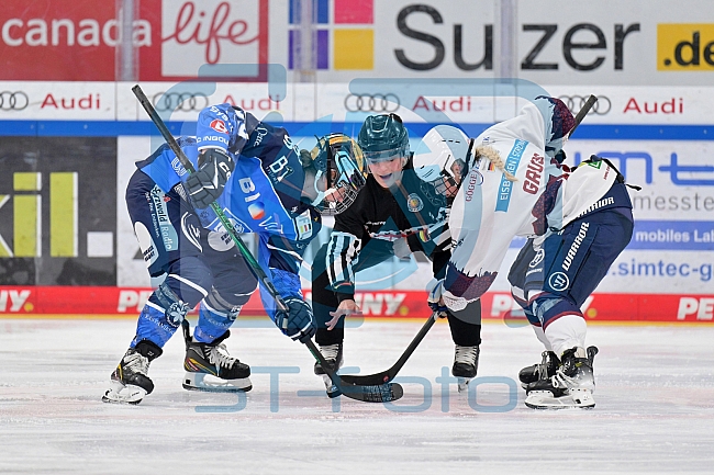 Eishockey, Frauen, DFEL, Playoffs, Saison 2023-2024, ERC Ingolstadt - Eisbären Berlin, 02.03.2024