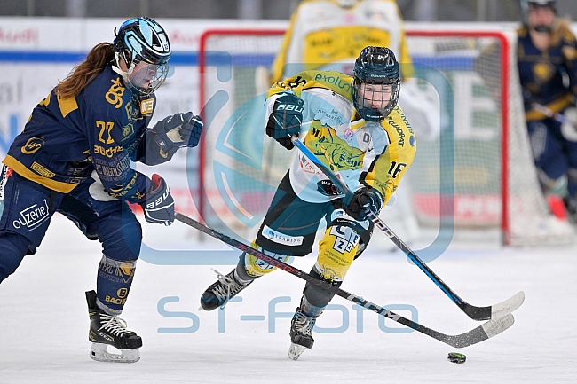 Eishockey, Frauen, DFEL, Saison 2022-2023, ERC Ingolstadt - Mad Dogs Mannheim, 19.11.2022