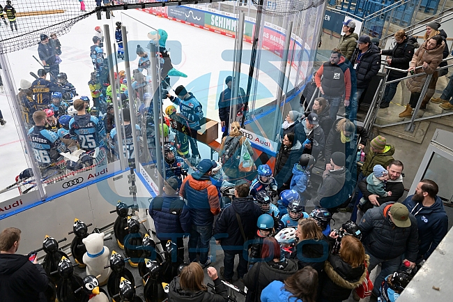 Eishockey, Herren, DEL, Saison 2022-2023, ERC Ingolstadt - Kids On Ice Day, 14.01.2023