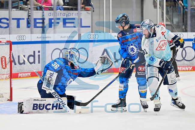 Eishockey, Herren, DEL, Saison 2025-2026, Spiel 23, ERC Ingolstadt - Dresdner Eislöwen, 28.11.2025