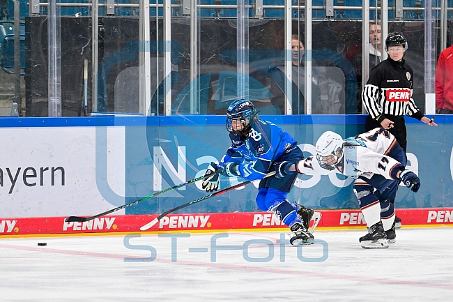 Eishockey, Frauen, DFEL, Saison 2026-2027, ERC Ingolstadt - Eisbären Juniors Berlin, 19.09.2026