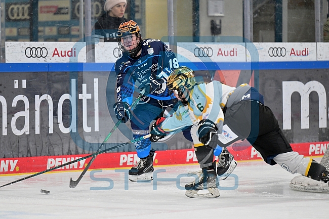 Eishockey, Frauen, DFEL, Saison 2024-2025, ERC Ingolstadt - Mad Dogs Mannheim, 23.11.2024
