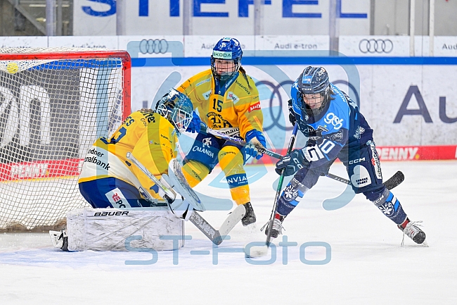 Eishockey, Frauen, DFEL, Saison 2025-2026, Testspiel, ERC Ingolstadt - HC Davos, 14.02.2026