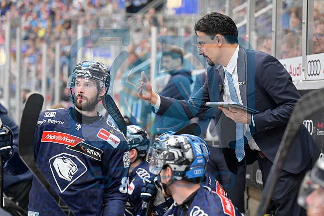 Eishockey, Herren, DEL, Saison 2024-2025, Playoffs Halbfinale, Spiel 5, ERC Ingolstadt - Kölner Haie, 11.04.2025