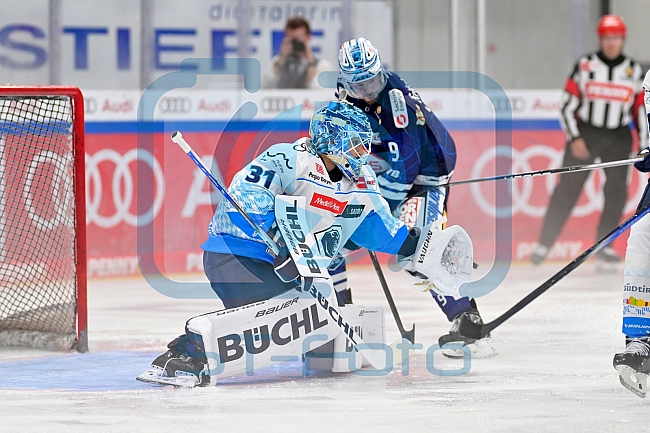 Eishockey, Herren, DEL, Saison 2024-2025, Vorbereitung, ERC Ingolstadt - Dresdner Eislöwen, 18.08.2024