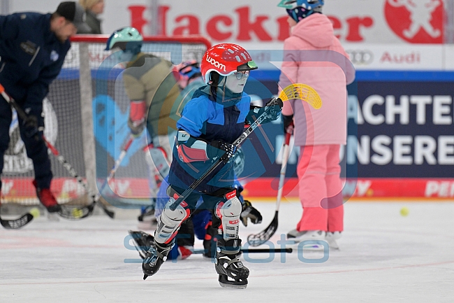 Eishockey, Herren, DEL, Saison 2023-2024, ERC Ingolstadt - Kids on Ice Day, 18.11.2023