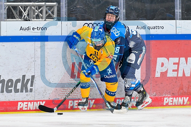 Eishockey, Frauen, DFEL, Saison 2025-2026, Testspiel, ERC Ingolstadt - HC Davos, 14.02.2026