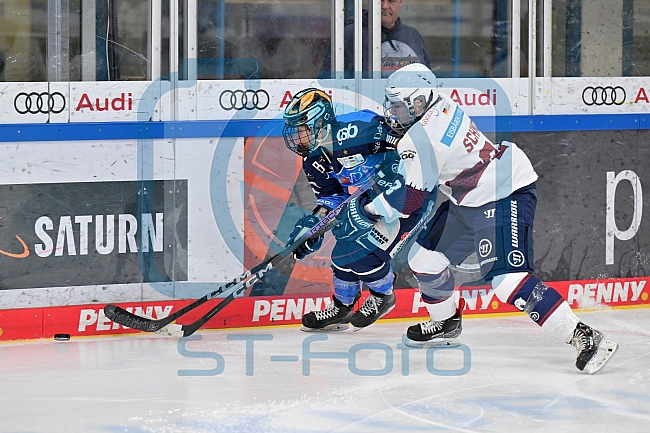 Eishockey, Frauen, DFEL, Playoffs, Saison 2023-2024, ERC Ingolstadt - Eisbären Berlin, 02.03.2024