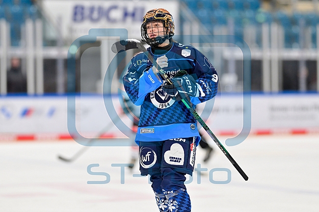 Eishockey, Frauen, DFEL, Saison 2024-2025, ERC Ingolstadt - ECDC Memmingen Indians, 16.11.2024